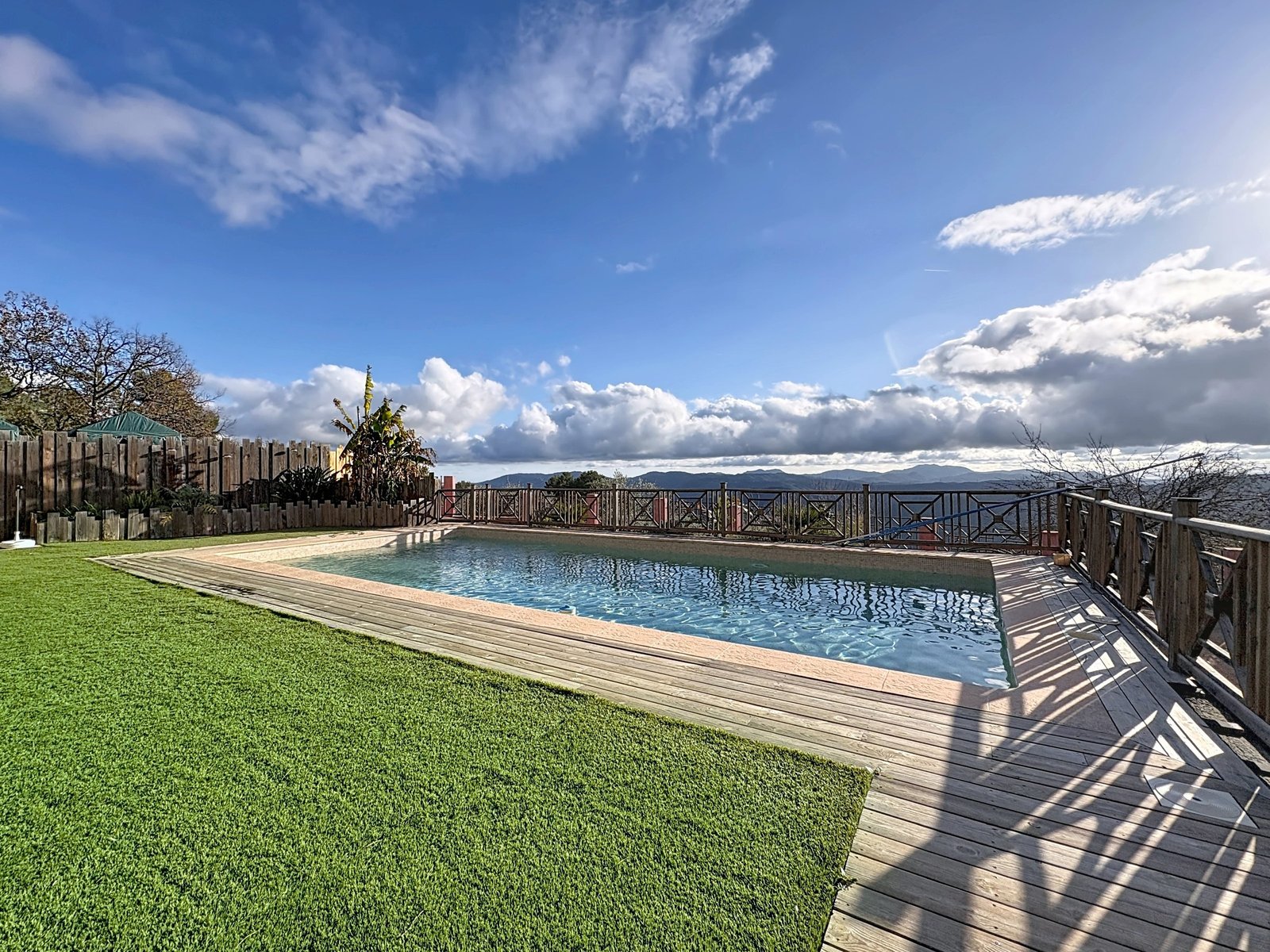 Jardin méditerranéen avec oliviers centenaires