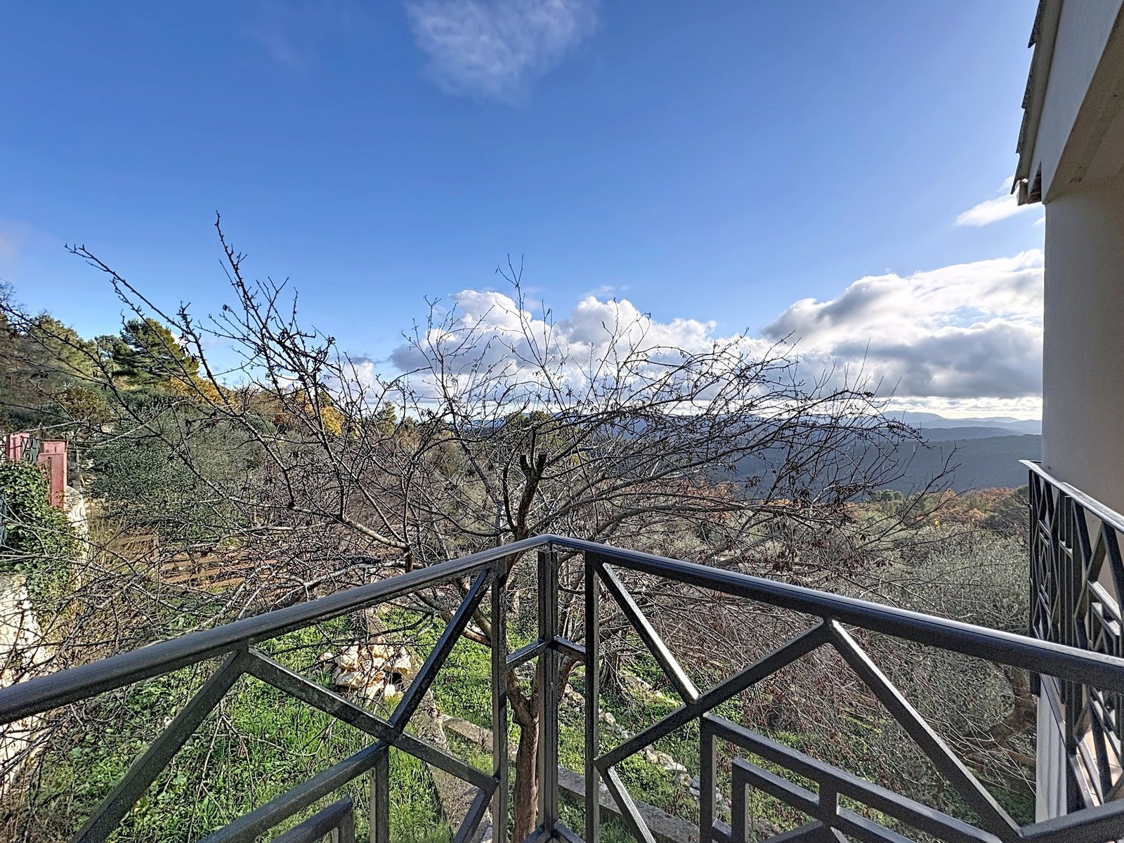 Magnolia — image 2